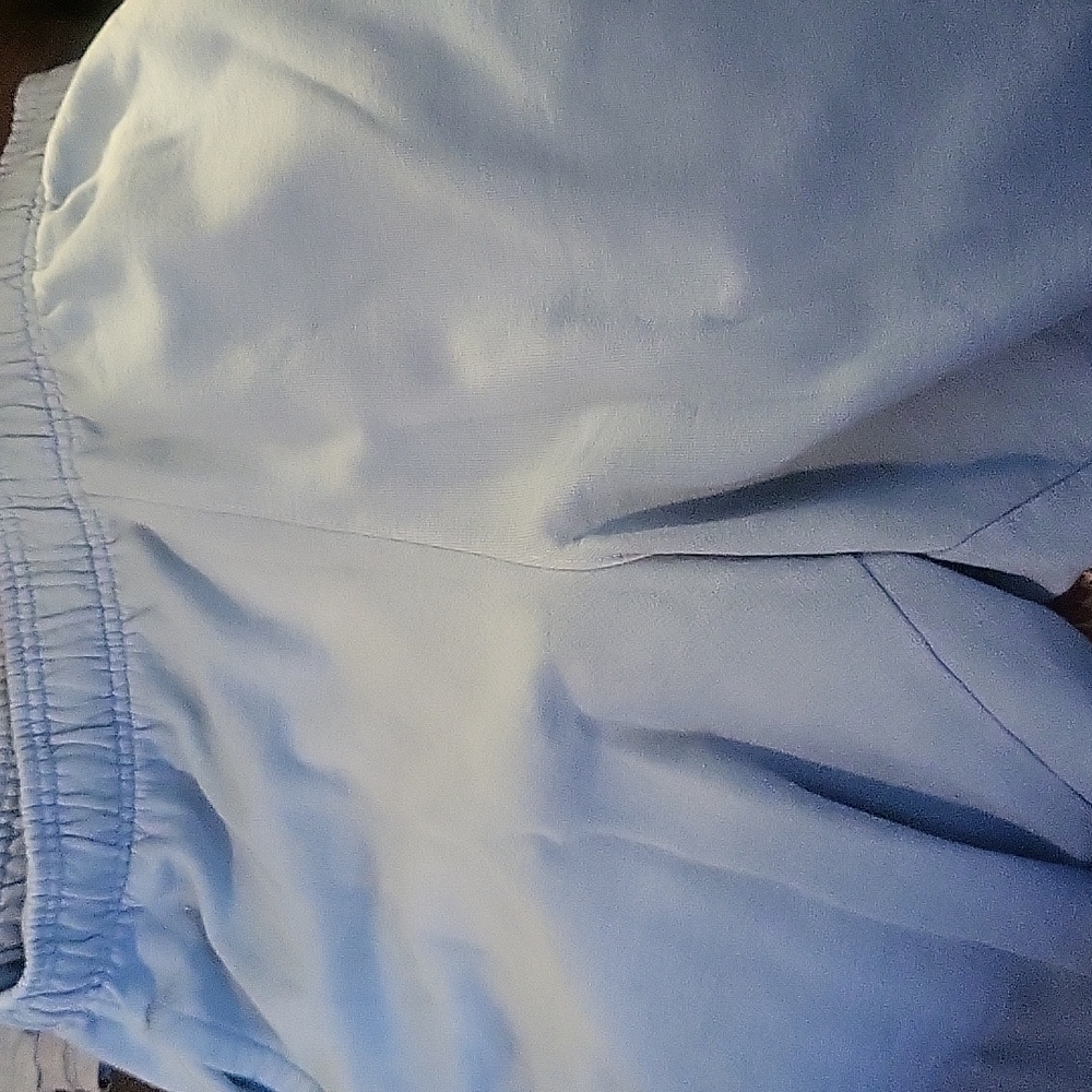 Champion Shorts light blue